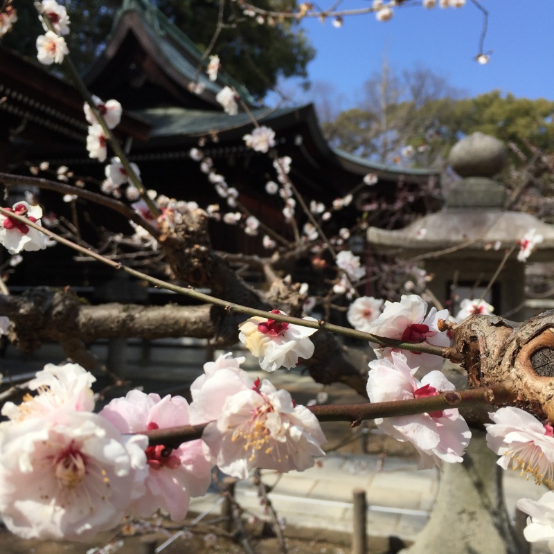 京都パワースポットと百人一首【北野天満宮編】パート5